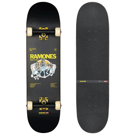 G2 RAMONES ROAD TO RUIN 8.25"