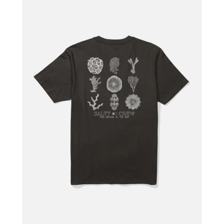 CORAL HEAD SS TEE