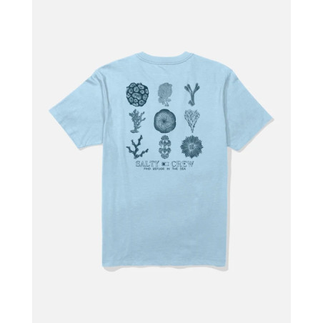CORAL HEAD SS TEE