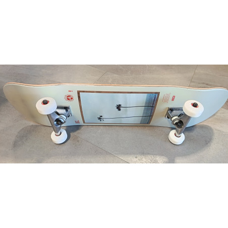 SKATE STREET GLOBE