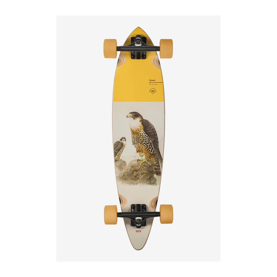PINTAIL FALCON 34\'-EVASION s.a.r.l.-[product_reference]