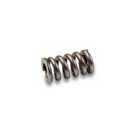 2216CARV SPRING C7